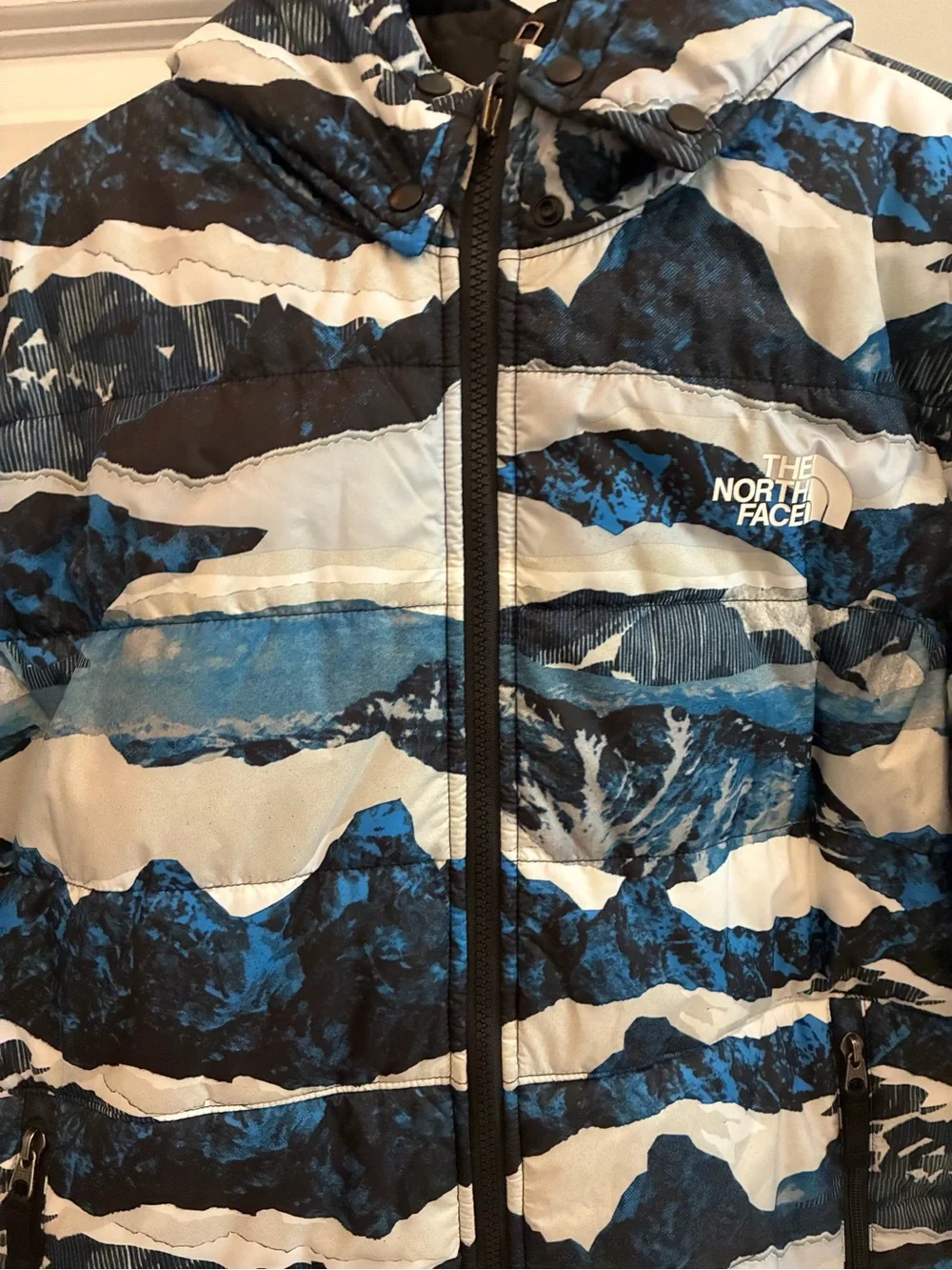 The North Face Kids Blue, Navy & White Mountain-Print Puffer Jacket